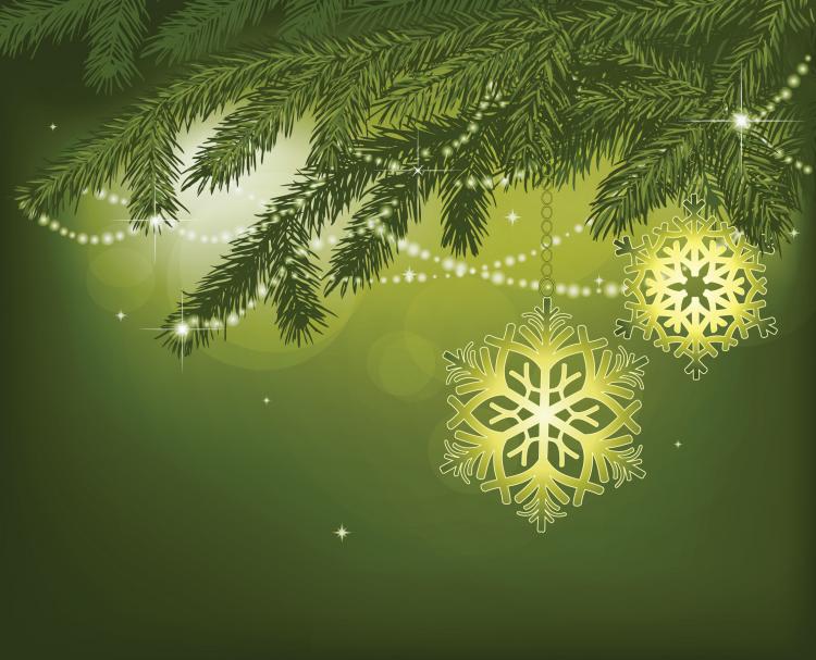 free vector Elegant snowflake ornaments vector